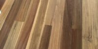 Spotted-Gum-Job-3 Spotted-Gum-Job-3