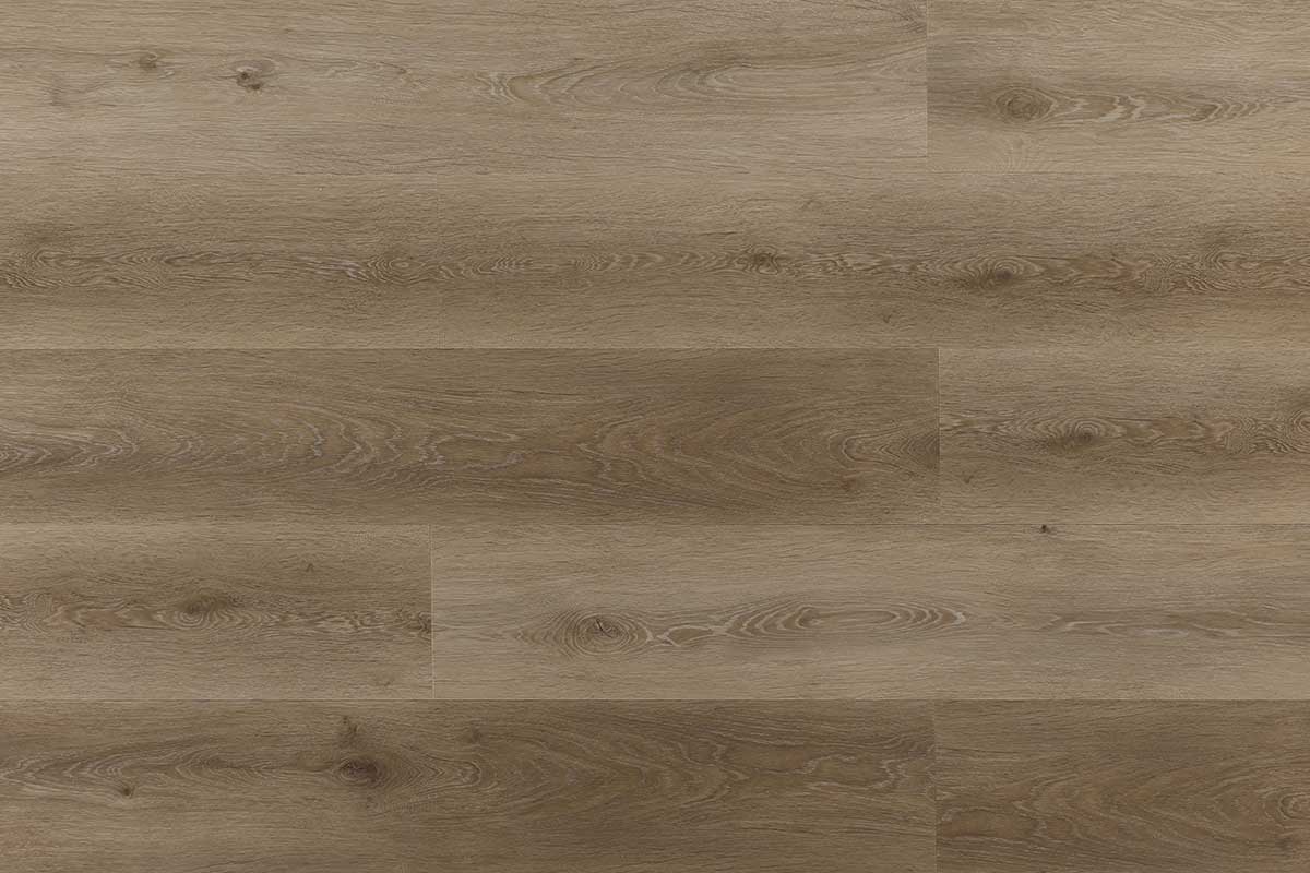 EVSPC – Coastal Oak