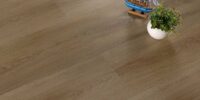 EVSPC-–-Natural-Oak2 EVSPC-–-Natural-Oak2