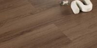 EVSPC-–-Walnut2 EVSPC-–-Walnut2