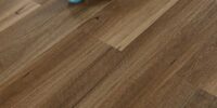 EVSPC–Spotted-Gum2 EVSPC–Spotted-Gum2