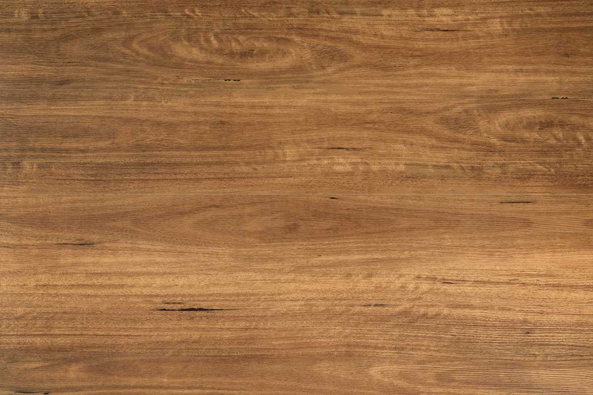 Hybrid SPC – Spotted Gum