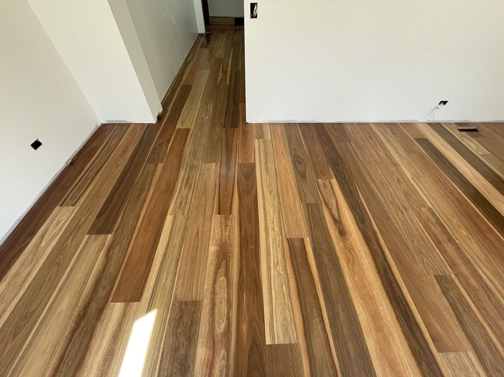 Engineered Spotted Gum flooring with strong tonal variation running through a Glen Iris home